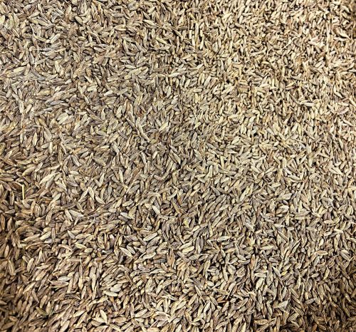 Paleolit Római köménymag egész 1kg lédig Cumin whole